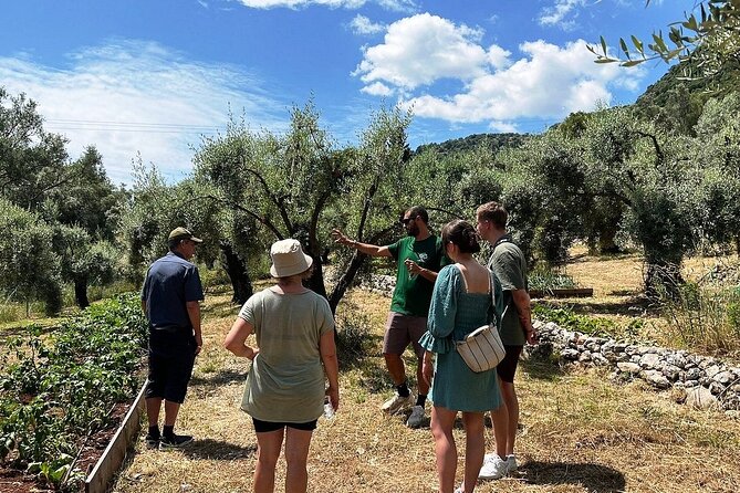 The Olive Oil Experience @ Lefkada Micro Farm - Olive Oil ABC: shopping, storing, and cooking for real results