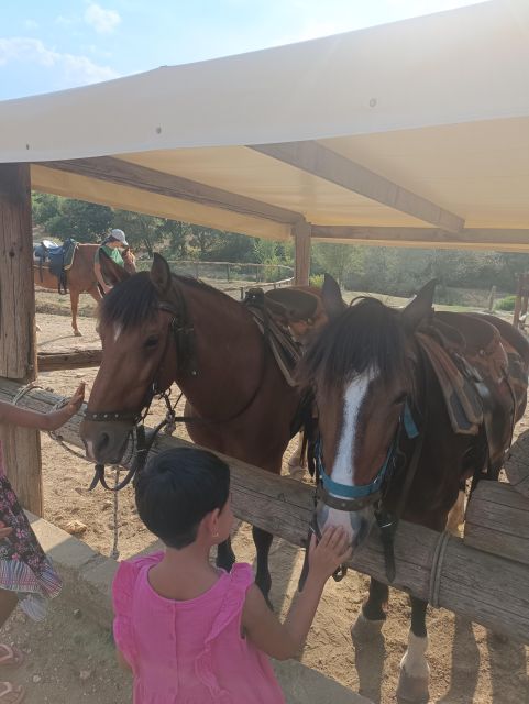 Thessaloniki:Horse Riding in a farm - Why this horse farm trip feels like a reset from Thessaloniki