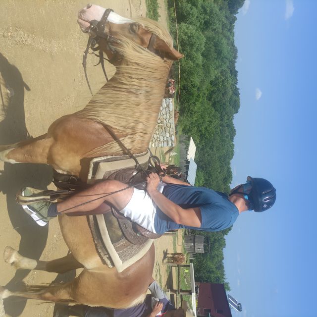 Thessaloniki:Horse Riding in a farm - Price and value: is $101 fair for a 3-hour farm + horse experience?