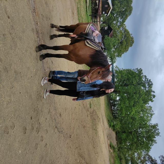 Thessaloniki:Horse Riding in a farm - Who should book this (and who should think twice)