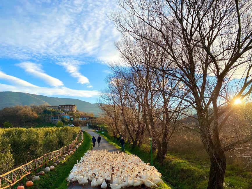 Tirana: Kruja Day Trip with Farm-to-Table Lunch - Kruja Castle and the Skanderbeg Museum: Albania’s Resistance Story