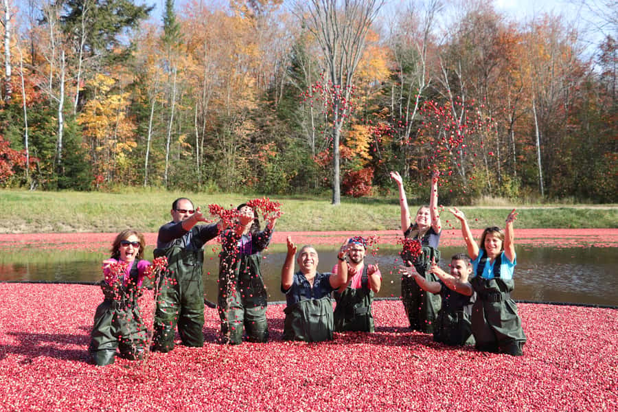 Toronto: Muskoka Cranberry Farm and Hardy Lake Hike - Hardy Lake Provincial Park hike: trail time that matches your group