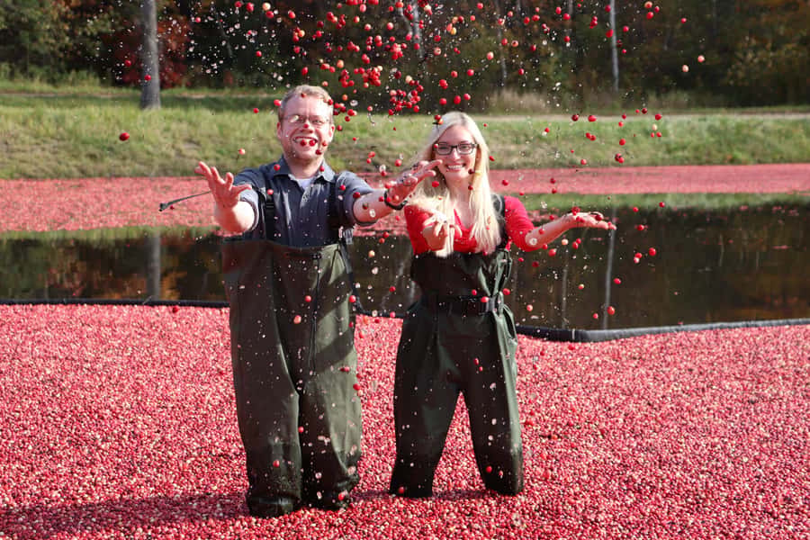 Toronto: Muskoka Cranberry Farm and Hardy Lake Hike - Finding the meeting point at Yorkdale without the stress
