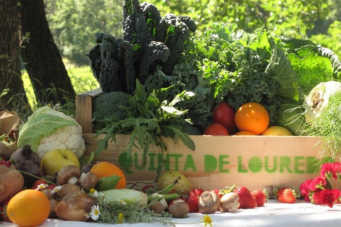 Traditional Cooking Class, Farm Tour & Lunch in the Douro Valley - Key Highlights Worth Your Time