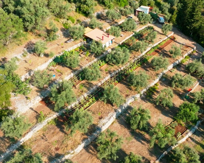 Traditional Greek Cooking Class @ Lefkada Micro Farm - Price and group size: does $152.58 make sense?