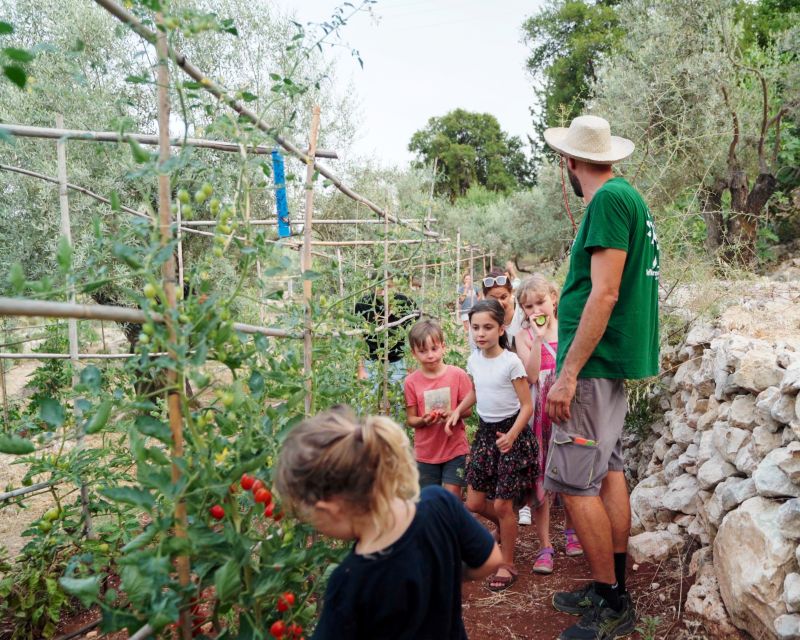 Traditional Greek Cooking Class @ Lefkada Micro Farm - Should You Book Lefkada Micro Farm’s Traditional Greek Cooking Class?