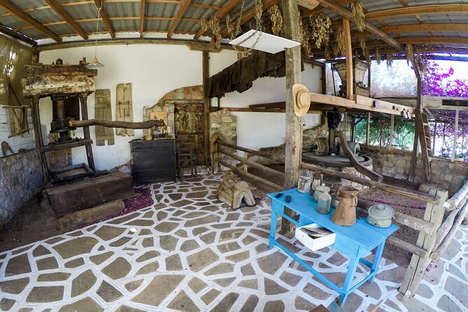 Traditional Olive Oil Making at Spiridi Olive Oil Farm - Crete - Spiridi Olive Oil Farm: A real working factory, not a staged show