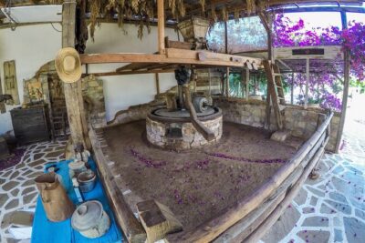 Traditional Olive Oil Making at Spiridi Olive Oil Farm - Crete - The 90-minute workshop: what you’ll do from start to finish