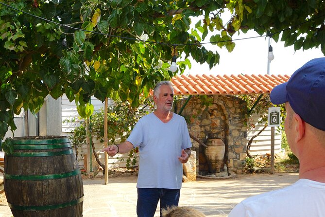 Traditional Olive Oil Making at Spiridi Olive Oil Farm - Crete - Before you book: who this workshop fits best
