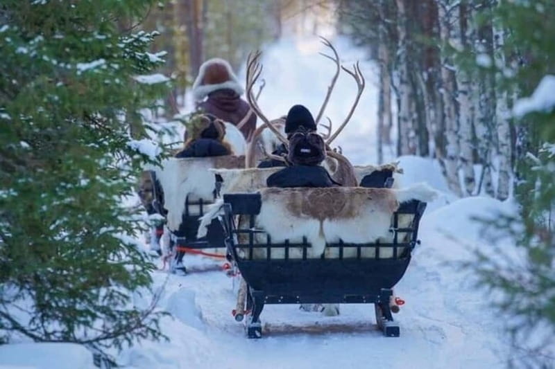 Traditional Reindeer Farm Visit with a Short Sleigh Ride - Key highlights at a glance