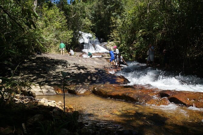 Trekking Tour to Hidden Waterfall & Sturgeon Farm for dog-lovers - The start of the hike: forest trekking to the sturgeon farm
