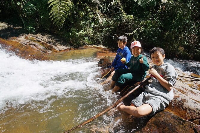 Trekking Tour to Hidden Waterfall & Sturgeon Farm for dog-lovers - The hidden waterfall: why the dogs matter so much