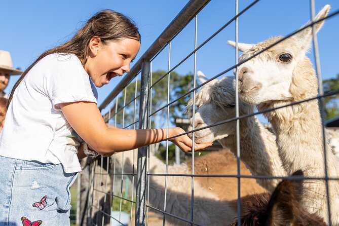 Trevena Glen Farm Animal Experience - Key points before you go