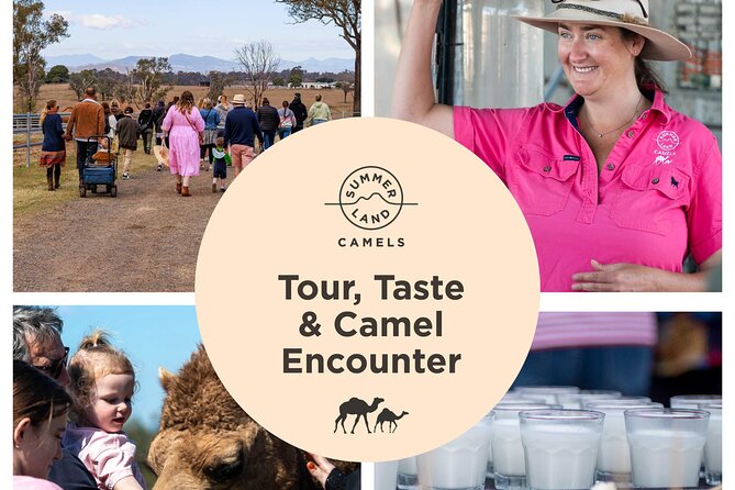 Trevena Glen Farm Animal Experience - Price and value: what $17.93 buys you