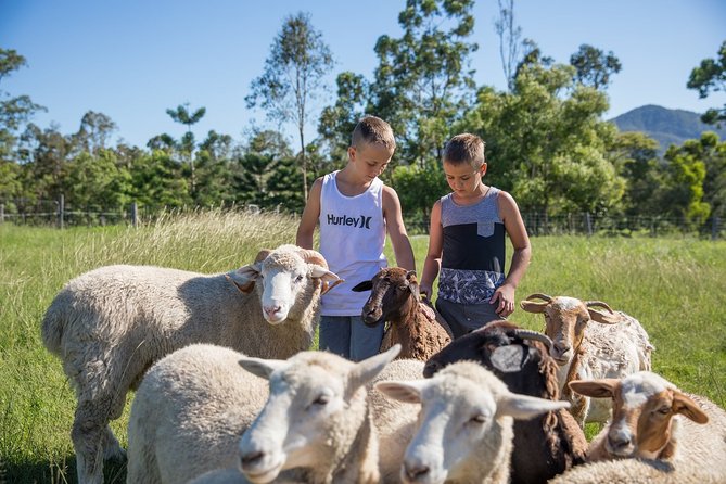 Trevena Glen Farm Animal Experience - Who this is best for (and who should reconsider)