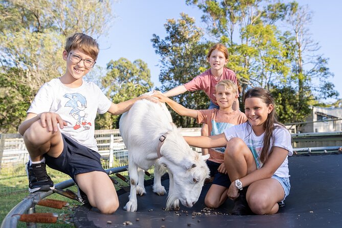Trevena Glen Farm Animal Experience - Tips to make it smoother for kids (and for you)