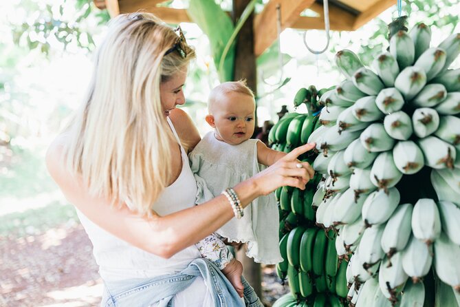 Tropical Fruit World Farm Full Tour - Tropical Fruit World Full Tour: a farm day you can actually taste