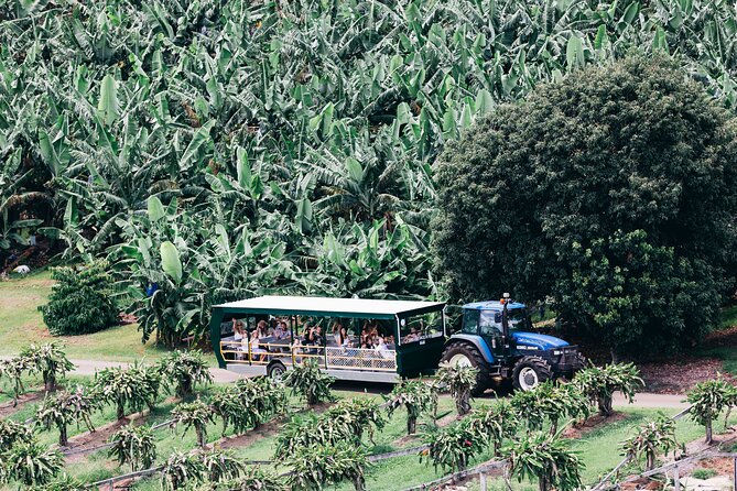 Tropical Fruit World Farm Full Tour - River cruise and wildlife spotting: a break from fruit rows