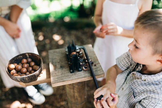 Tropical Fruit World Farm Full Tour - Aussie bush tucker: fruit meets local flavor ideas