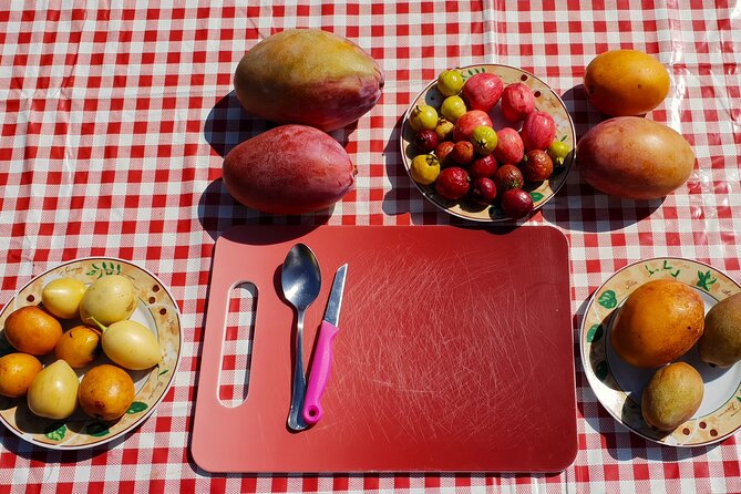 Tropical Tour: Avocado & Mango Farm - Small group and tasting - The Picnic Brunch: Seasonal Tastes with Real Local Logic
