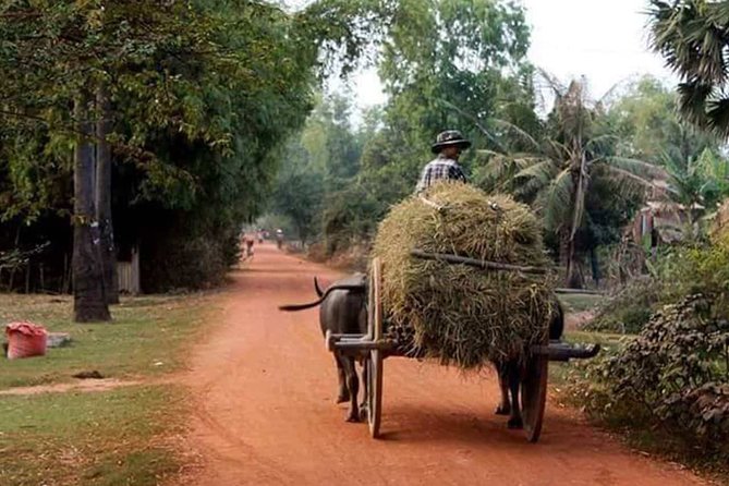Tuk Tuk Journey: Exploring Rural Life and Silk Farm Craftsmanship - Key things that make this day trip work