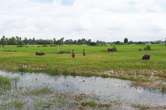 Tuk Tuk Journey: Exploring Rural Life and Silk Farm Craftsmanship - Angkor Silk Farm: from silkworms to woven garments