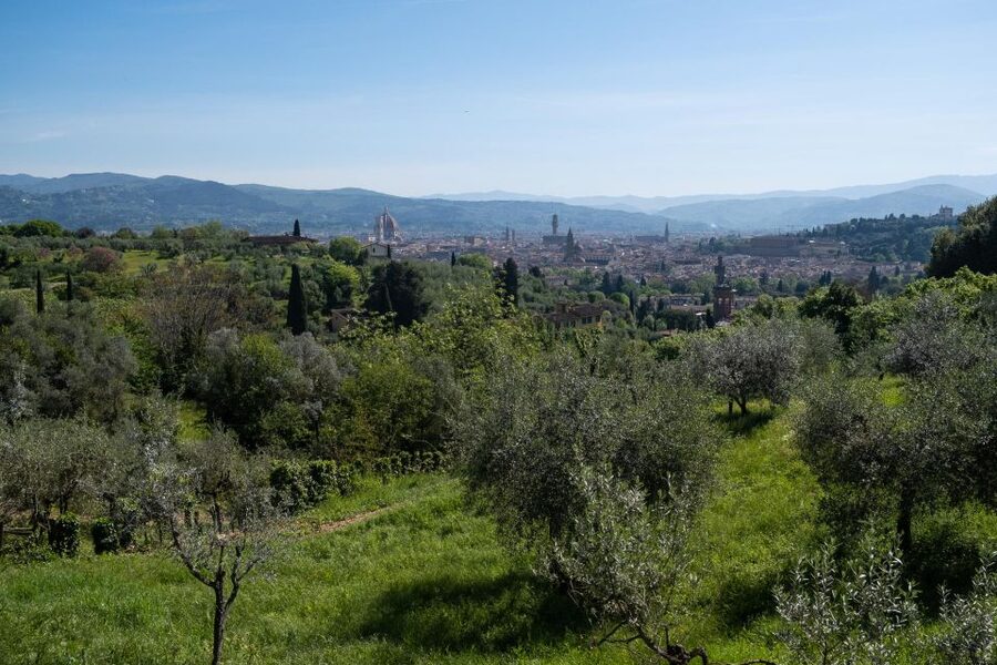 Tuscany Hills Bike Tour with Lunch at farm and Wine Tasting - Key Highlights You’ll Feel on This Ride