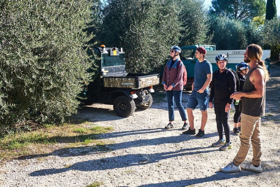 Tuscany Hills Bike Tour with Lunch at farm and Wine Tasting - Small Group Energy: Up to 10 People Makes It Feel Local