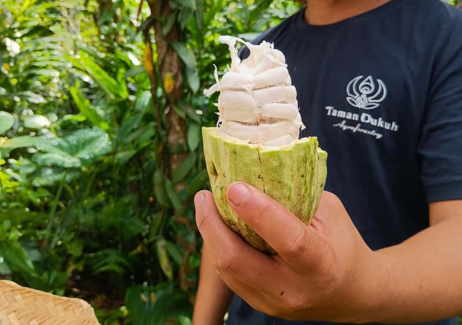 Ubud: Balinese Cooking Class at an Organic Farm - Market Morning That Teaches You What to Taste