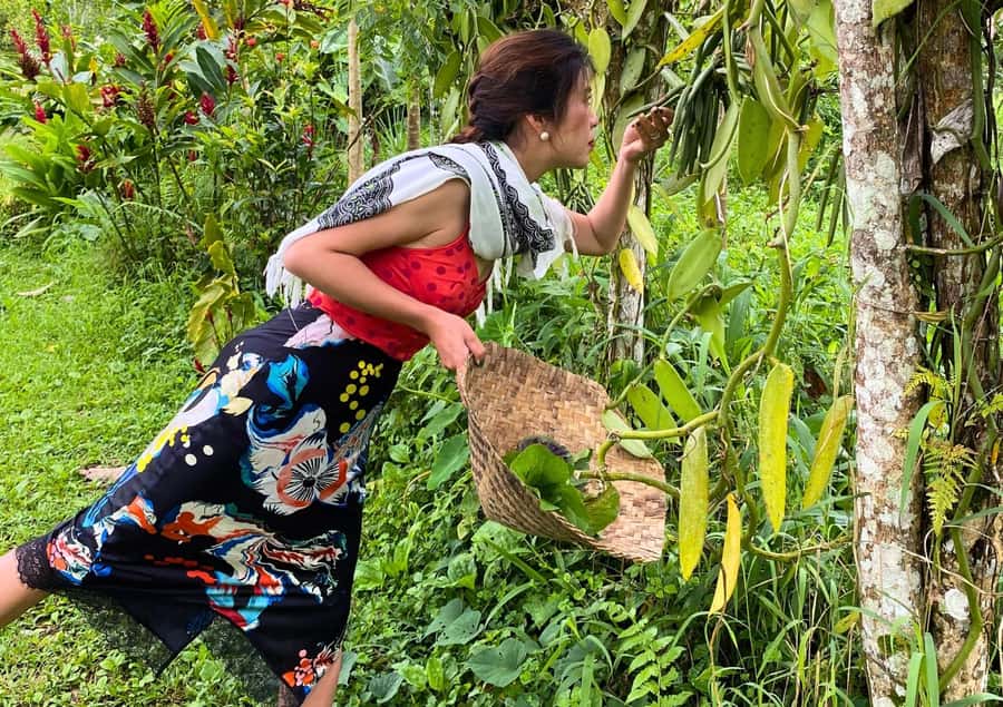 Ubud: Balinese Cooking Class at an Organic Farm - The Organic Farm Visit: Picking Ingredients Like a Local