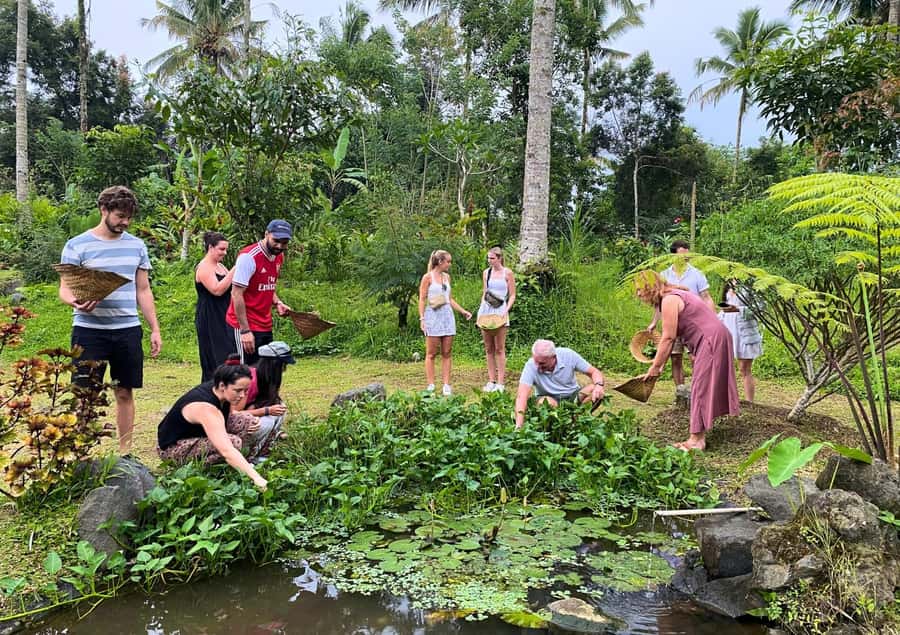 Ubud: Balinese Cooking Class at an Organic Farm - Who This Ubud Farm Class Fits Best