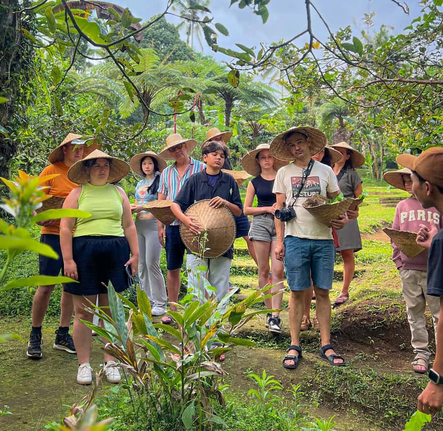 Ubud: Organic Farm Harvest, Bali Cooking Class by Pemulan - Organic farm harvesting: picking your own veggies for your meal