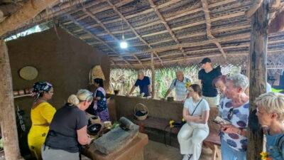Udawalawe: Farm to Table Cooking & Authe: Village Experience - Cinnamon tea welcome and the spice culture that shapes the day