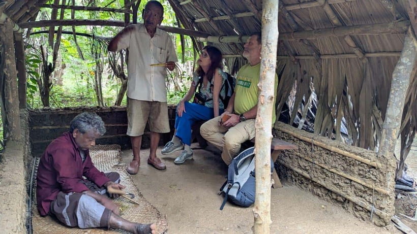 Udawalawe: Farm to Table Cooking & Authe: Village Experience - Local melas after cooking: music, crafts, and village fair energy