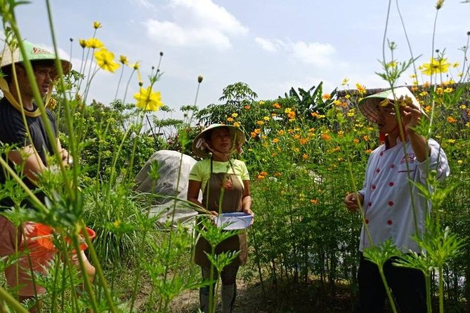Unique farm to Table cooking class in Saigon - Value Check: Does $67 Pay Off in Real Life?