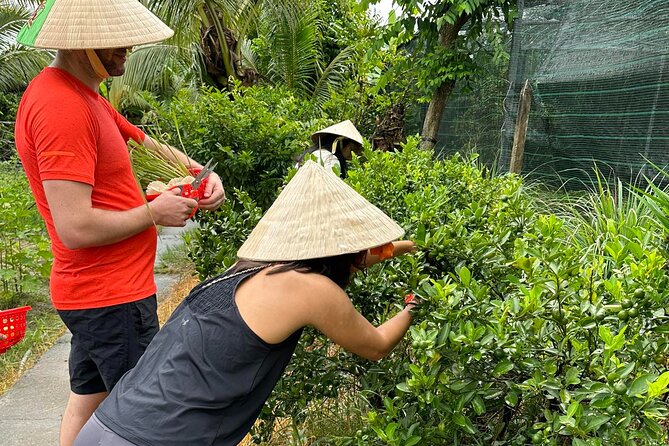 Unique Farm to Table Cooking Class with Top Chef in Vietnam - The cooking class: hands-on dishes plus repeatable technique