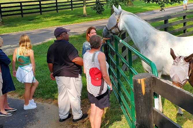 Unique Horse Farm Tours with Insider Access to Private Farms - Horse Country in One Ticket: Why This Tour Works