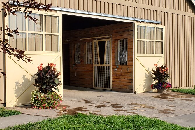 Unique Horse Farm Tours with Insider Access to Private Farms - The Thoroughbred Center: When Yearlings Swim
