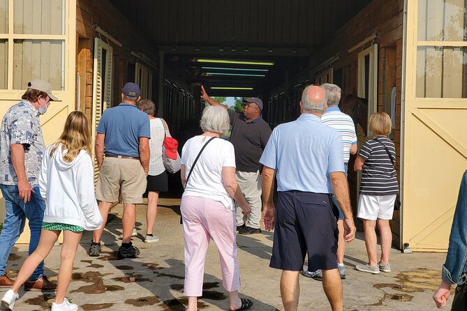 Unique Horse Farm Tours with Insider Access to Private Farms - Price and Value: What $59 Gets You in Horse Country