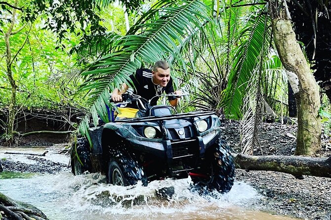 Unique Pineapple Farm Tour on 4 wheels - Getting out of Panama City fast (and into real jungle)