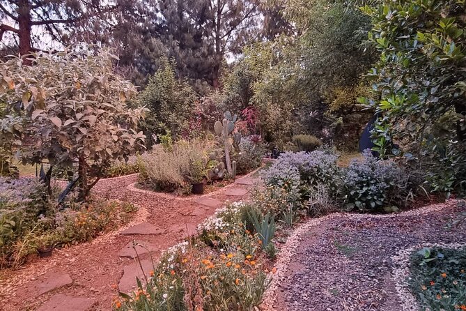 Urban Orchard in Desierto de los Leones in Mexico City - From Avenida Chapultepec to Desierto de los Leones: the ride and arrival