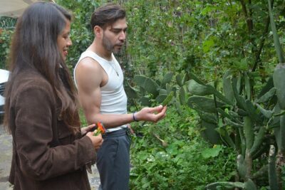 Urban Orchard in Desierto de los Leones in Mexico City - Orchard senses in action: birdsong, leaf fragrance, and tasting tests