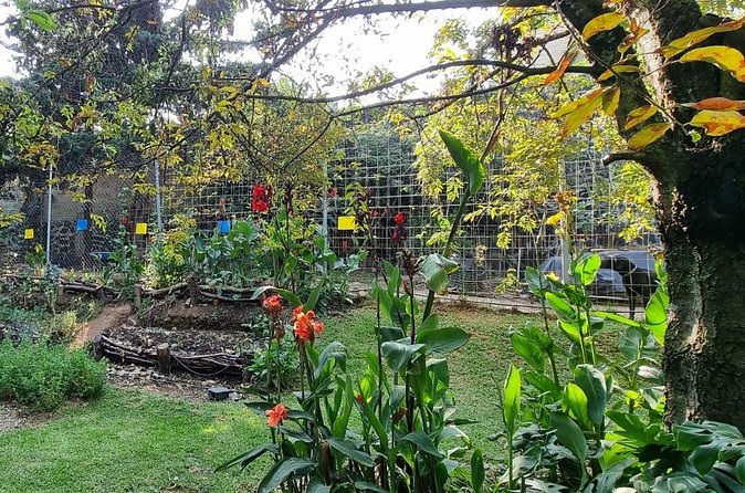 Urban Orchard in Desierto de los Leones in Mexico City - Price and logistics: is $75 worth a five-hour orchard visit?