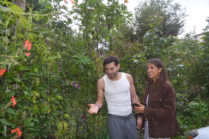 Urban Orchard in Desierto de los Leones in Mexico City - Who should book this Urban Orchard experience
