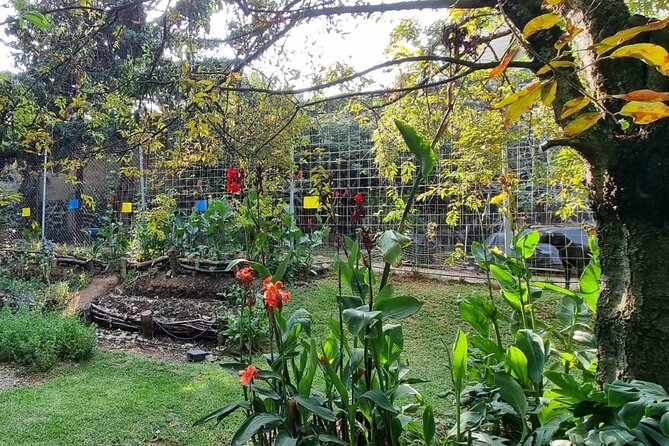 Urban Orchard in Desierto de los Leones in Mexico City - Should you book Urban Orchard in Desierto de los Leones?