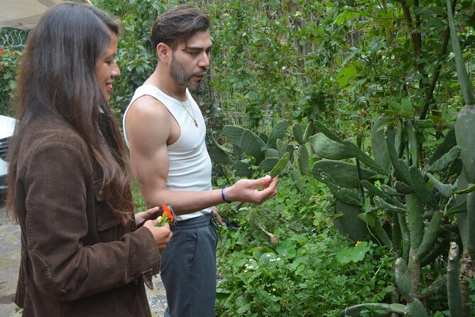 Urban Orchard in Desierto de los Leones in Mexico City - Orchard senses in action: birdsong, leaf fragrance, and tasting tests