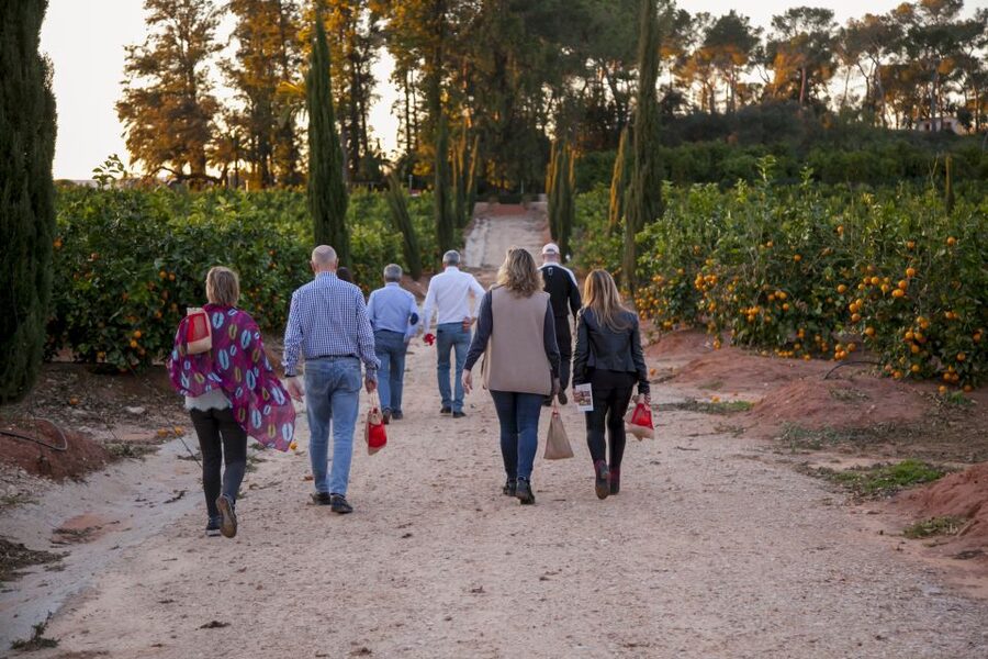 Valencia: Orange Farm and Orchard Trip with Tastings - Pick-your-own oranges and the irrigation well