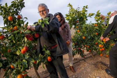Valencia: Orange Farm and Orchard Trip with Tastings - Grove walk lessons: pruning, grafting, and citrus variety tour