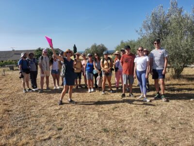 Valensole : Visit of a winery and lavender farm - Meeting point and what to do when you arrive