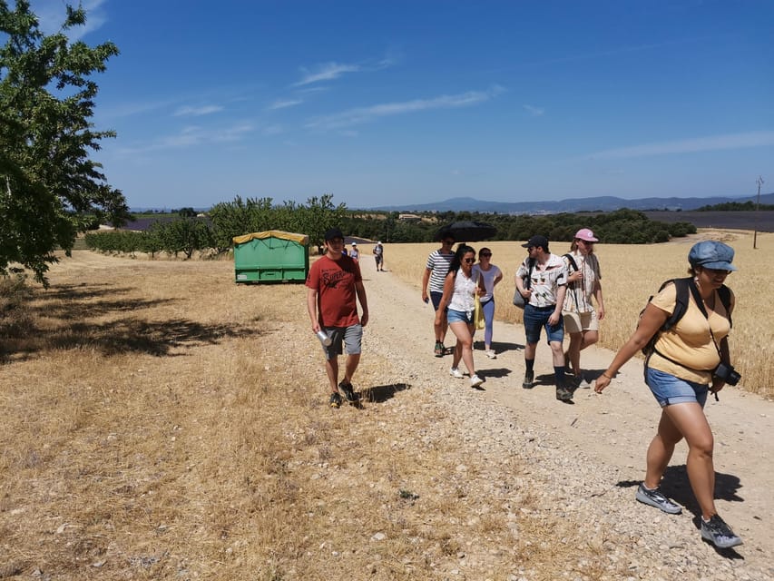 Valensole : Visit of a winery and lavender farm - Included tasting: what you’ll sample during the visit
